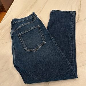 Agolde Divided High Waist Riley Ankle Jeans, worn once, 28